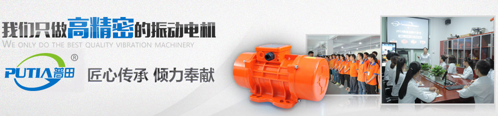 普田耐低溫振動電機